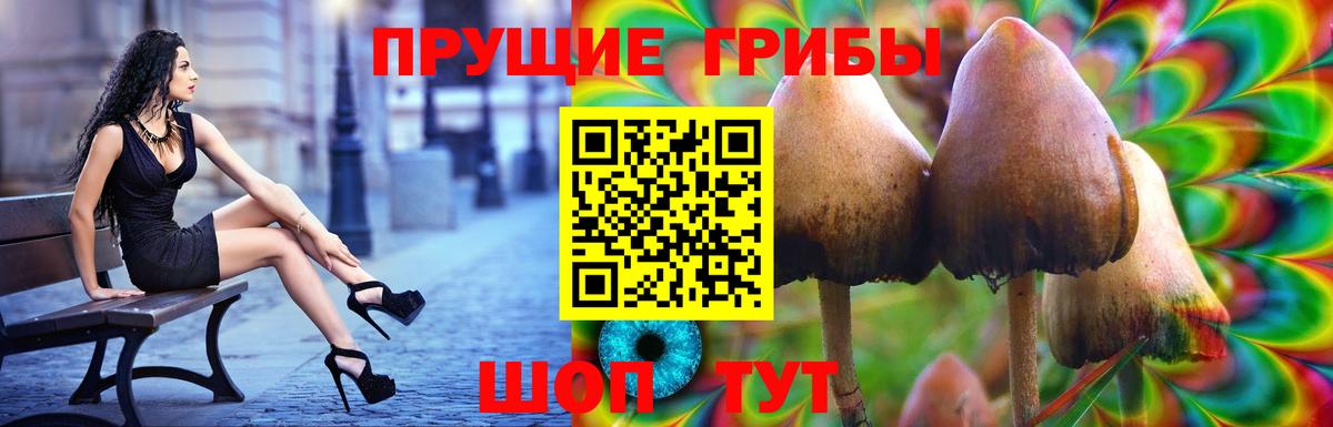 Галлюциногенные грибы MAGIC MUSHROOMS Луга